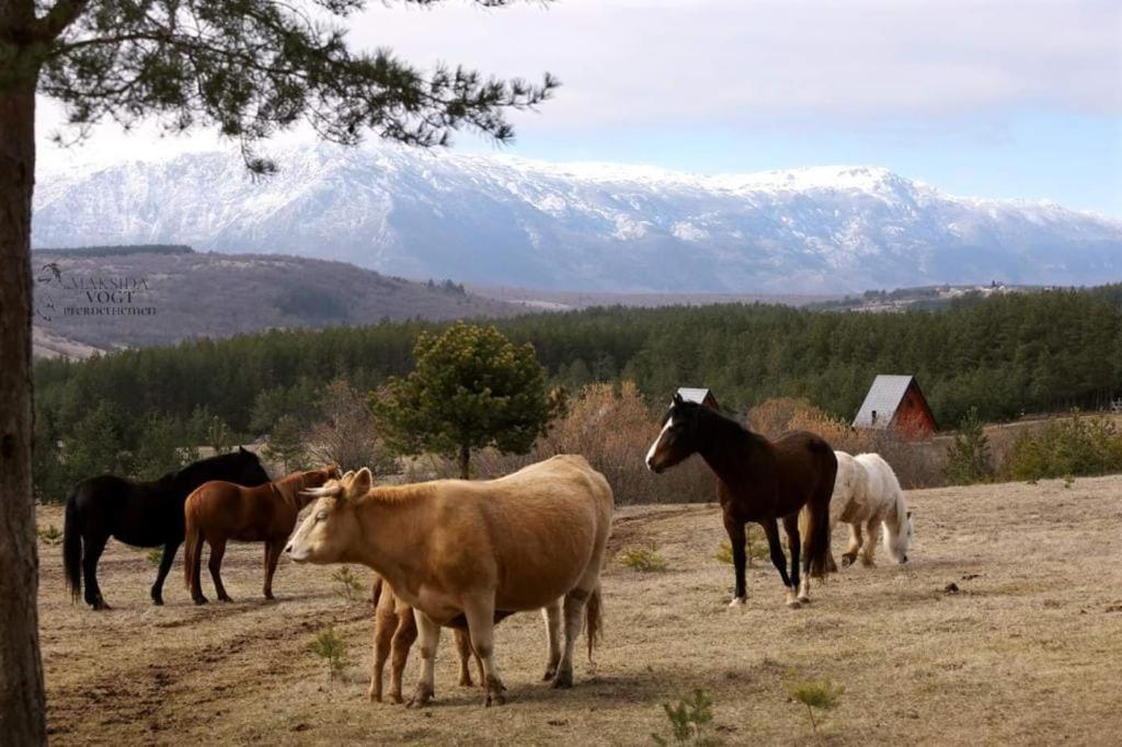 Ranc Crna Stina Vila Livno Exterior foto