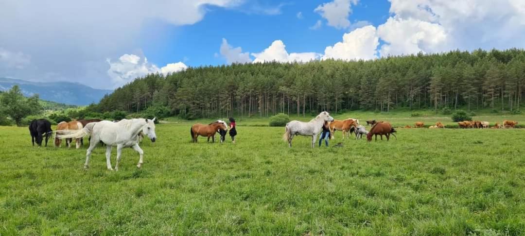 Ranc Crna Stina Vila Livno Exterior foto