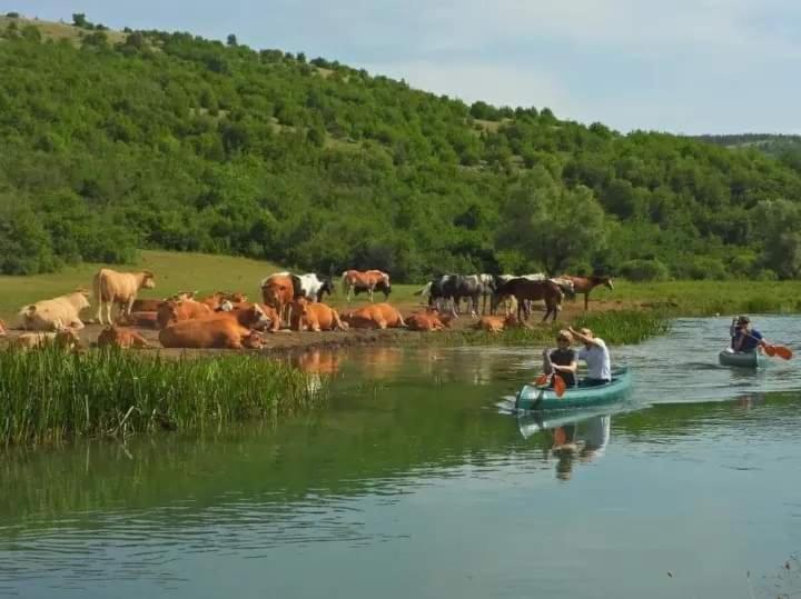 Ranc Crna Stina Vila Livno Exterior foto