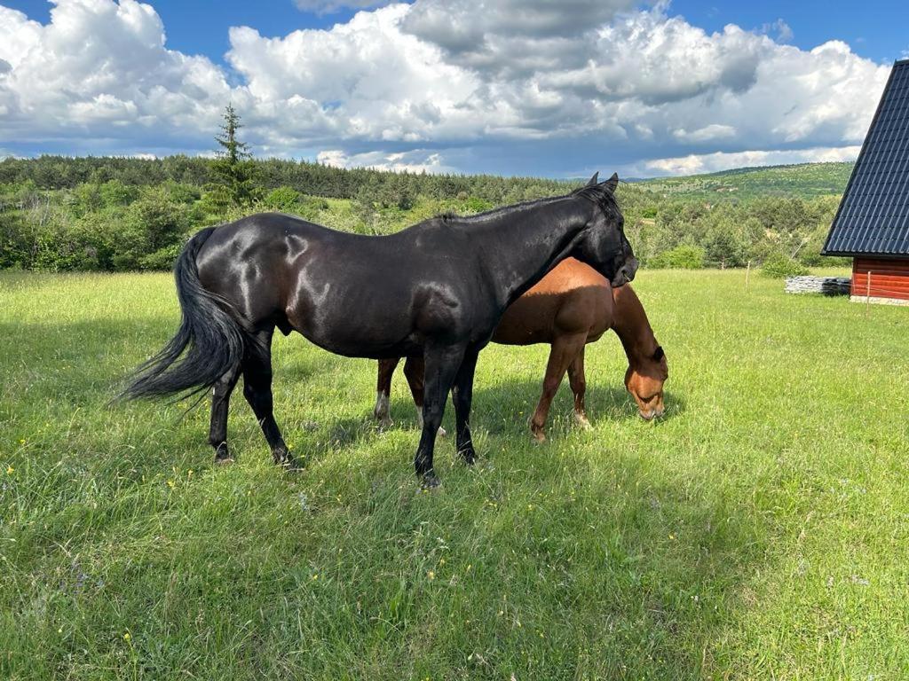 Ranc Crna Stina Vila Livno Exterior foto