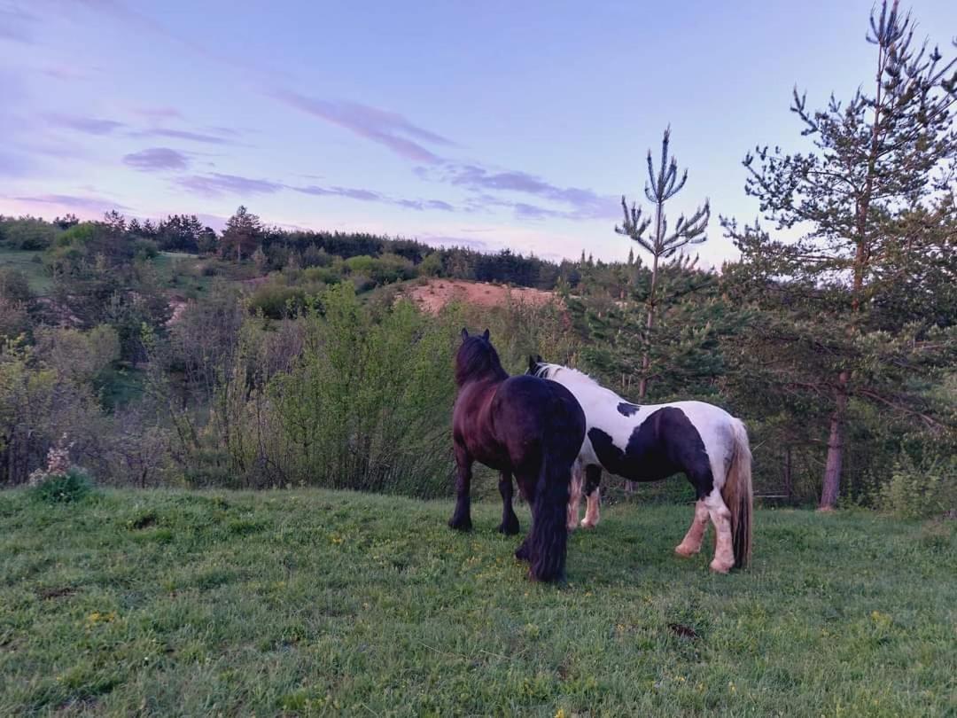Ranc Crna Stina Vila Livno Exterior foto